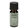 Butlers ESSENCE Vonný olej Lemon Grass 10 ml