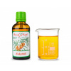 RAKYTNÍK BIO - bylinné kapky (tinktura) 50 ml