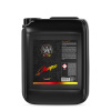 Bad Boys Shampoo Orangeade - pH neutrální autošampon (5 l)