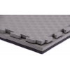 TRINFIT Tatami MMA T25 100 x 100 x 2,5 cm šedá/čierna