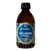 Zdravý svet Lipozomálny KOLAGÉN komplex hydrolyzovaný 1x250 ml