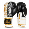 Boxerské rukavice DBX BUSHIDO B-2v16 8 oz