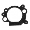 Tesnenie Briggs Stratton Intek OHV (692667)