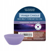 Yankee Candle Stargazing vosk do aromalampy 22 g