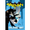 Batman Chladné dny (8) - Tony S. Daniel, Tom King