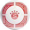 Football adidas FC Bayern Club Home IA0919 (178656) Black/Green 5