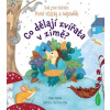 Co dělají zvířata v zimě? - Katie Daynes; Christine Pym