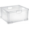 Tontarelli box s rukoväťou Aurora, 51L, transparent 8031372000