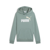 Detská Mikina PUMA ESS 2 COLOR NO.1 LOGO HOODIE TR B 68582330 – Zelená