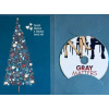Gray Matters / Ta záležitost s Gray - DVD /dárkový obal/