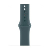 Apple Watch 42mm Lake Green Sport Band - S/M