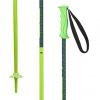 Lyžiarske palice Elan HotRod Jr Green - 95 cm