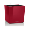 Lechuza Cube Premium All inclusive set scarlet red 30x30x30 cm