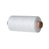 SABA 120 - 2000 (Amann)