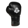 Boxerské rukavice DBX BUSHIDO DBX-B-2v9 14 oz
