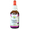 Salvia Paradise Ostropestrec mariánsky bezalkoholová tinktúra 50 ml