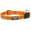 Julius K9 Color & Grey Collar 2cm - odolný obojok pre psa - Orange