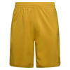 La Sportiva kraťasy Sudden - pánské - žlutá Velikost: S