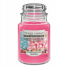 Parafínová vonná sviečka Mrazené brusnice, borovica, borievka Yankee Candle 1 ks