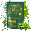 HERMETICKÝ DOYPACK YERBA MATE + 100 g