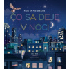 Pozri sa pod obrázok - Čo sa deje v noci - Emily Bone