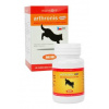 Arthronis mini ACUTE CANIS sýrová příchuť 60 tbl