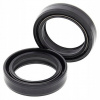Tesniace prvky Lag Bmw K1200Rs 96-04