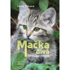 Mačka divá – lovec špecialista (Ivan Kňaze)
