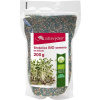 ZdravýDeň ZdravýDeň® BIO Brokolica - semená na klíčenie 200 g