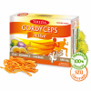 Terezia Company Cordyceps Active 60 kapsúl