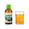 BEDRNÍK kořen - bylinné kapky - tinktura 50 ml BYLINNÉ KAPKY