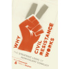 Why Civil Resistance Works : The Strategic Logic of Nonviolent Conflict