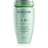 Šampón KÉRASTASE Résistance Volumifique 250 ml (3474636397891)
