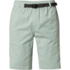 Pánské šortky Fox Bravo Cargo Short L