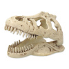 Repti Planet T-Rex lebka 13,3 cm