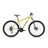 CTM REIN 3.0 29