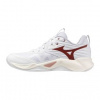 Mizuno WAVE MOMENTUM PRO(W) V1GC254073 UK 6,5 obuv