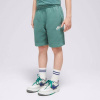 Nike Nike Sportswear Club Fleece Boy Zelená EUR 128-137