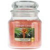 Yankee Candle Vonná sviečka The Last Paradise 411 g