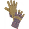 Canis CXS ZORO WINTER