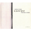 Callum Innes - a pure land (Thomas A. Clarke)(Pevná)