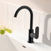 HANSGROHE Rebris S páková umývadlová batéria s otočným výtokom, s odtokovou súpravou s tiahlom, výška výtoku 222 mm, matná čierna, 72536670