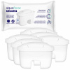 Vodný filter Aquafloow FlowFlux do kanvice Laica náhrada BiFlux - 6 ks