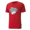 Pánské tričko Puma Summer Graphic Tee - Tričko Puma Summer Graphic Tee | 848576-11 | XXL