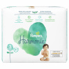Pampers Harmonie 3 31 ks