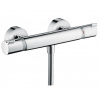 Hansgrohe 13116000