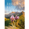 Ohrozené rastliny Tatier - Milan Zajac; Mario Duchoň