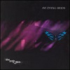 My Dying Bride - Like Gods Of The Sun [CD]