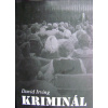 Kriminál - David Irving