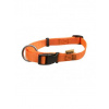 BafPet Obojek popruh NEON oranžový 18-26 cm/10 mm